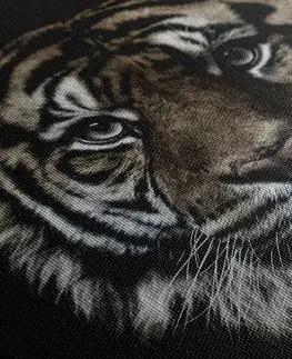 Obrazy zvierat Obraz tiger