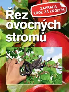 Záhrada Řez ovocných stromů - Heidrun Holzfőrster