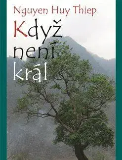 Novely, poviedky, antológie Když není král - Nguyen Huy Thiep,Petr Komers
