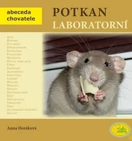Zvieratá, chovateľstvo - ostatné Potkan laboratorní