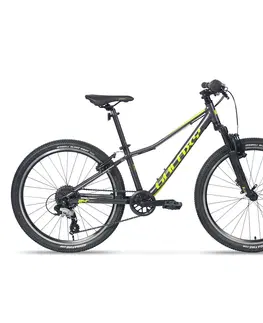 Bicykle Juniorský horský bicykel Galaxy Pavo 24" - model 2024 strieborná - 12" (138-148 cm)