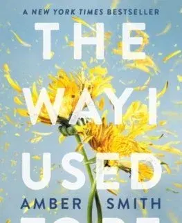 Young adults The Way I Used to Be - Amber Smith