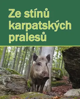 Česká beletria Ze stínů karpatských pralesů - Jaroslav Hubálek