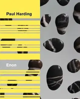 Svetová beletria Enon - Harding Paul