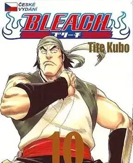 Manga Bleach 10: Tattoo on the Sky - Kubo Tite