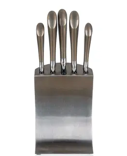 Kuchynské nože Sada nožov METALLIC PLATINUM v stojane 5 ks