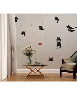 Samolepky na stenu Samolepiaca dekorácia Cats, 42,5 x 65 cm