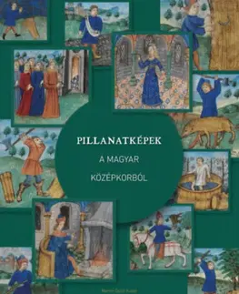 Stredovek Pillanatképek a magyar középkorból - Kolektív autorov