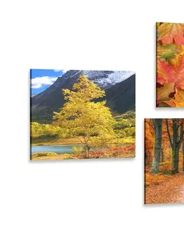 Zostavy obrazov Set obrazov jesenná príroda v nádherných farbách