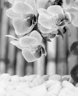 Čiernobiele tapety Fototapeta japonská čiernobiela Zen záhrada