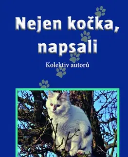 Česká beletria Nejen kočka, napsali - Kolektív autorov