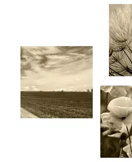 Zostavy obrazov Set obrazov sépiová krajina s kvetmi