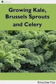 Hobby - ostatné Growing Kale Leaves, Brussels Sprouts and Celery - Jose Ciiju Roby