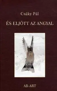 Novely, poviedky, antológie És eljött az angyal - Pál Csáky