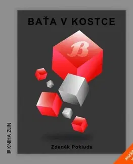 Odborná a náučná literatúra - ostatné Baťa v kostce - Zdeněk Pokluda