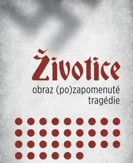 Slovenské a české dejiny Životice. Obraz (po)zapomenuté tragédie - Karin Lednická