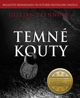 Detektívky, trilery, horory Temné kouty - 3. vydání - Gillian Flynn