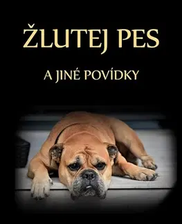 Novely, poviedky, antológie Žlutej pes - Irena Mondeková