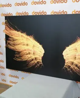Obrazy anjelov Obraz zlaté anjelské krídla