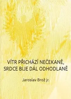 Česká poézia Vítr přichází nečekaně, srdce bije dál odhodlaně - Jaroslav Brož