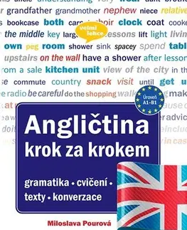 Gramatika a slovná zásoba Angličtina krok za krokem - Miloslava Pourová