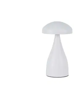 Lampy  LED Stmievateľná dobíjacia stolná lampa LED/1W/5V 3000-6000K 1800 mAh biela 