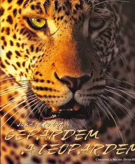 Biológia, fauna a flóra Jaké je to být gepardem a leopardem