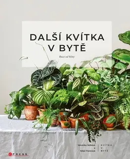 Izbové rastliny Další kvítka v bytě: Ruce od hlíny - Veronika Ježková,Nikol Francová