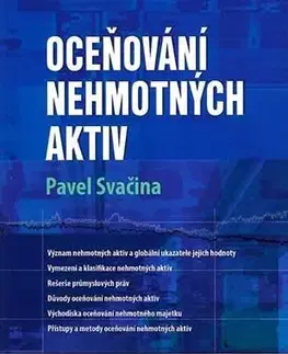 Ekonómia, Ekonomika Oceňování nehmotných aktiv - Pavel Svačina