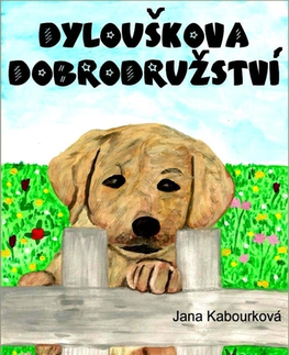 Rozprávky Dylouškova dobrodružství - Jana Kabourková