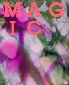 Dejiny, teória umenia Magic - Jamie Sutcliffe