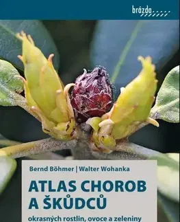 Škodcovia a choroby Atlas chorob a škůdců okrasných rostlin, ovoce a zeleniny, 2. vydání - Walter Wohanka,Bernd Böhmer