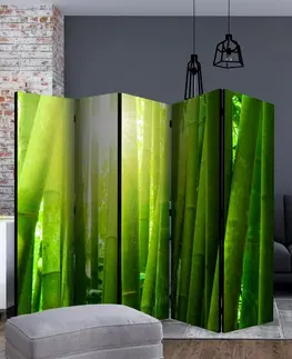 Paravány Paraván Sun and bamboo Dekorhome 225x172 cm (5-dielny)