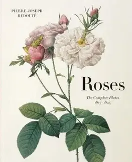 Maliarstvo, grafika Redouté - Roses - Pierre-Joseph Redouté