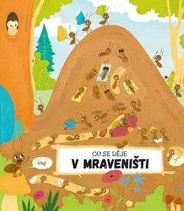 Leporelá, krabičky, puzzle knihy Co se děje v mraveništi - Petra Bartíková,Magdalena Takáčová