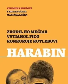 Politológia Harabin - Veronika Prušová