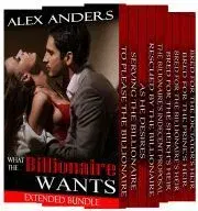 Erotická beletria What the Billionaire Wants: Extended BDSM Bundle - Anders Alex