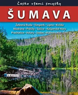 Slovensko a Česká republika Šumava - Česko všemi smysly - Vladimír Soukup,David Petr