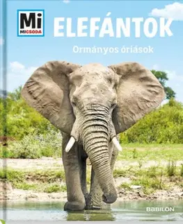 Príroda Elefántok - Ormányos óriások - Andrea Weller-Essers