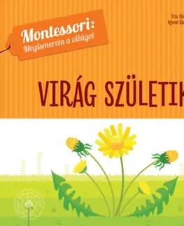 Leporelá, krabičky, puzzle knihy Virág születik - Montessori: Megismerem a világot - Chiara Piroddi