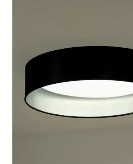 Svietidlá   - LED Stropné svietidlo ROLLER LED/24W/230V čierna/strieborná 