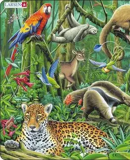 LARSEN puzzle Larsen Puzzle Puzzle Južná Amerika - Dažďový prales zvieratá Larsen FH10-ZZ
