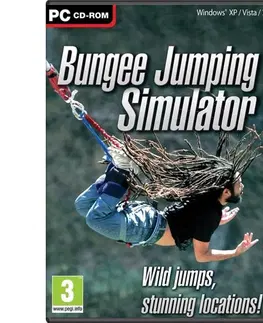 Hry na PC Bungee Jumping Simulator PC