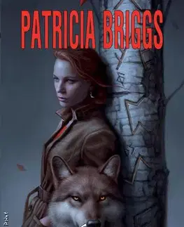 Sci-fi a fantasy Alfa a Omega 6: Divoký symbol - Patricia Briggs,Kateřina Niklová