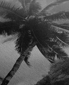 Čiernobiele obrazy Obraz nádherná pláž na ostrove Seychely v čiernobielom prevedení