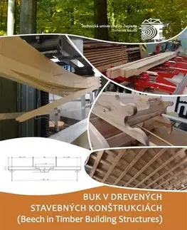 Pre vysoké školy Buk v drevených stavebných konštrukciách - Alena Rohanová