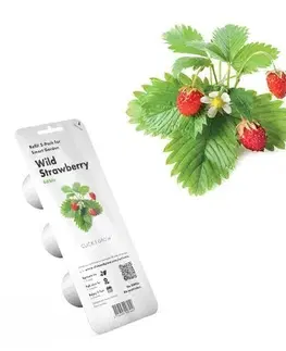 Gadgets Click and Grow lesné jahody PCW-011