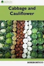 Hobby - ostatné Cabbage and Cauliflower