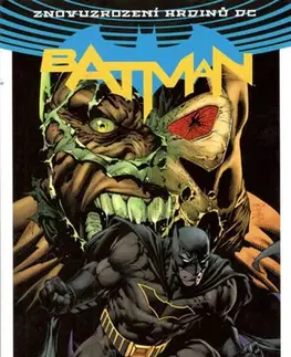 Komiksy Batman - Já jsem zhouba - Tom King