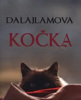 Romantická beletria Dalajlamova kočka - David Michie